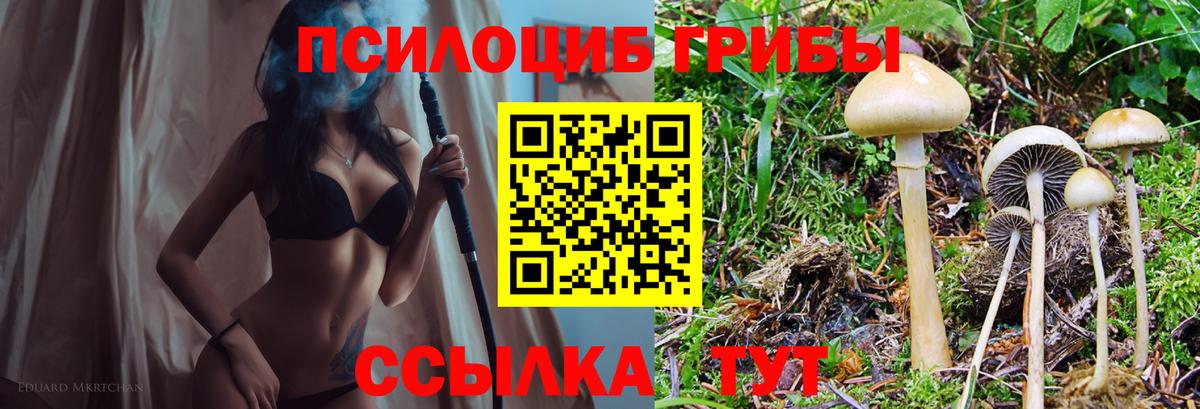 Галлюциногенные грибы мухоморы  Вход с VPN  Новодвинск 