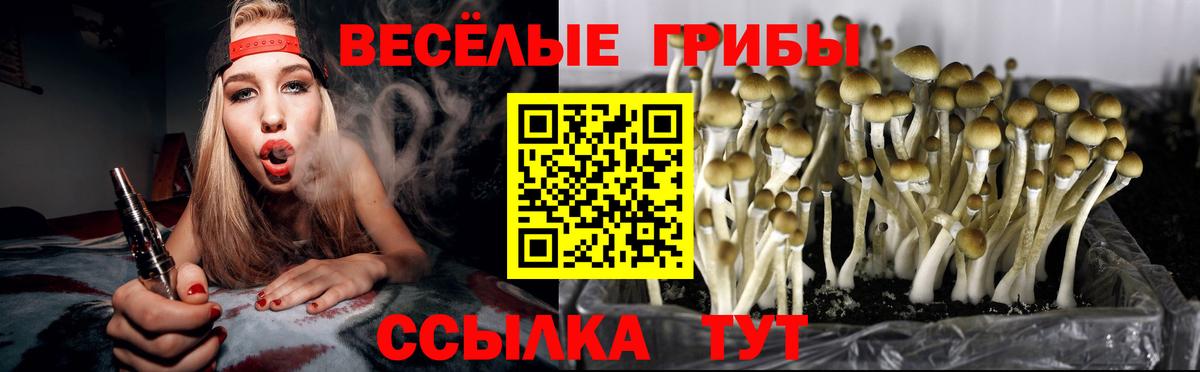 Галлюциногенные грибы ЛСД Новодвинск